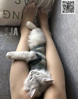 迷雪宫电视剧免费观看_1080电影在线看